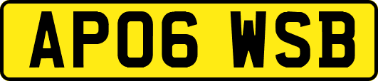 AP06WSB