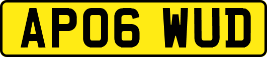 AP06WUD