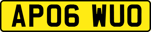 AP06WUO