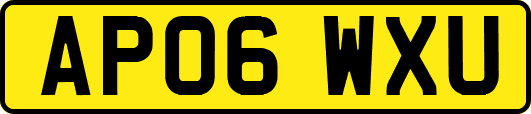 AP06WXU
