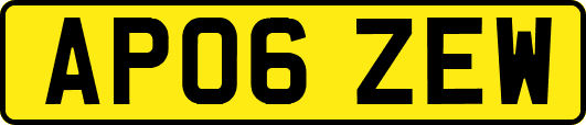 AP06ZEW