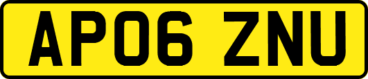 AP06ZNU