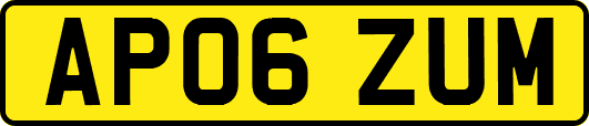 AP06ZUM