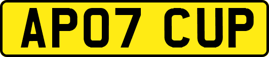 AP07CUP