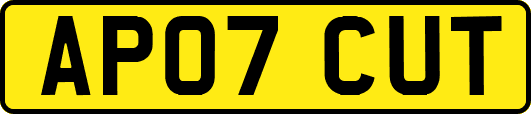 AP07CUT