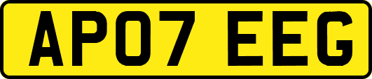 AP07EEG