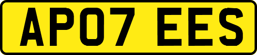 AP07EES
