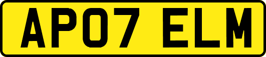 AP07ELM