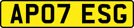 AP07ESG