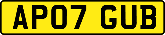 AP07GUB