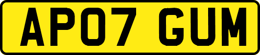 AP07GUM