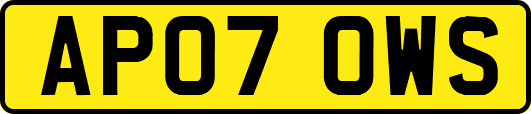 AP07OWS