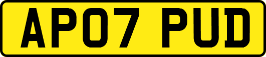 AP07PUD