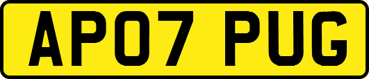 AP07PUG