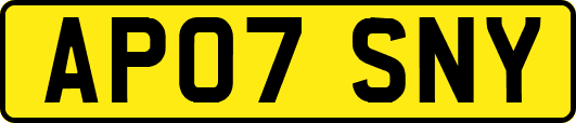 AP07SNY