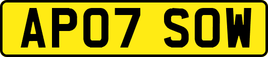 AP07SOW
