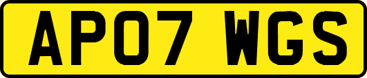 AP07WGS