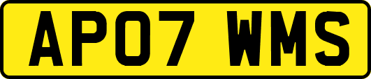 AP07WMS