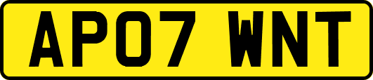 AP07WNT
