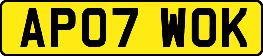AP07WOK