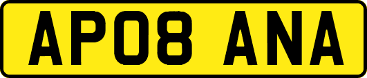 AP08ANA