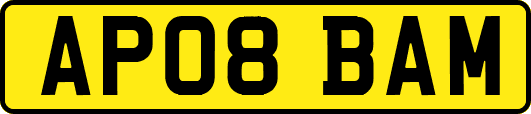 AP08BAM