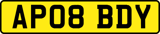AP08BDY