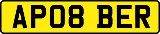 AP08BER
