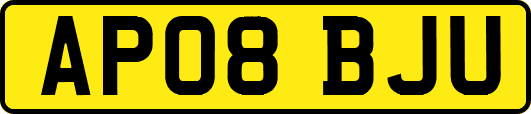 AP08BJU