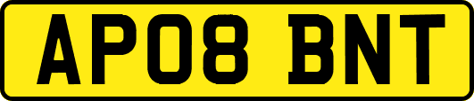 AP08BNT