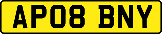 AP08BNY