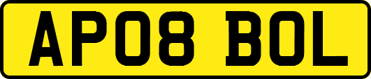 AP08BOL