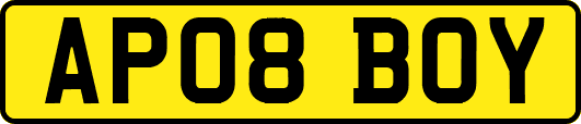 AP08BOY