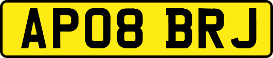 AP08BRJ