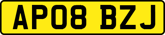 AP08BZJ