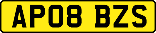 AP08BZS