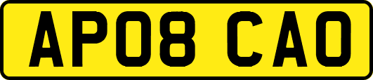 AP08CAO