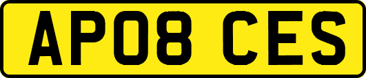 AP08CES