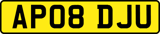 AP08DJU