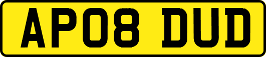 AP08DUD