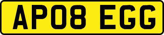 AP08EGG