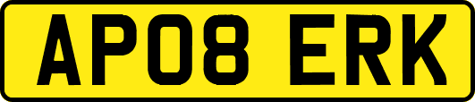 AP08ERK