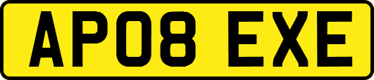 AP08EXE