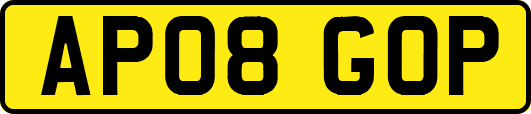 AP08GOP