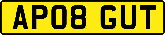 AP08GUT