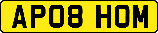 AP08HOM