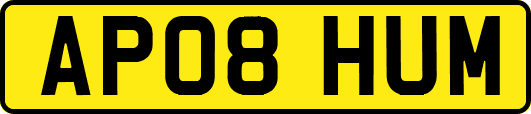 AP08HUM