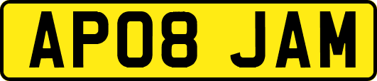AP08JAM