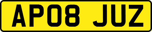 AP08JUZ
