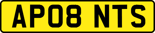AP08NTS